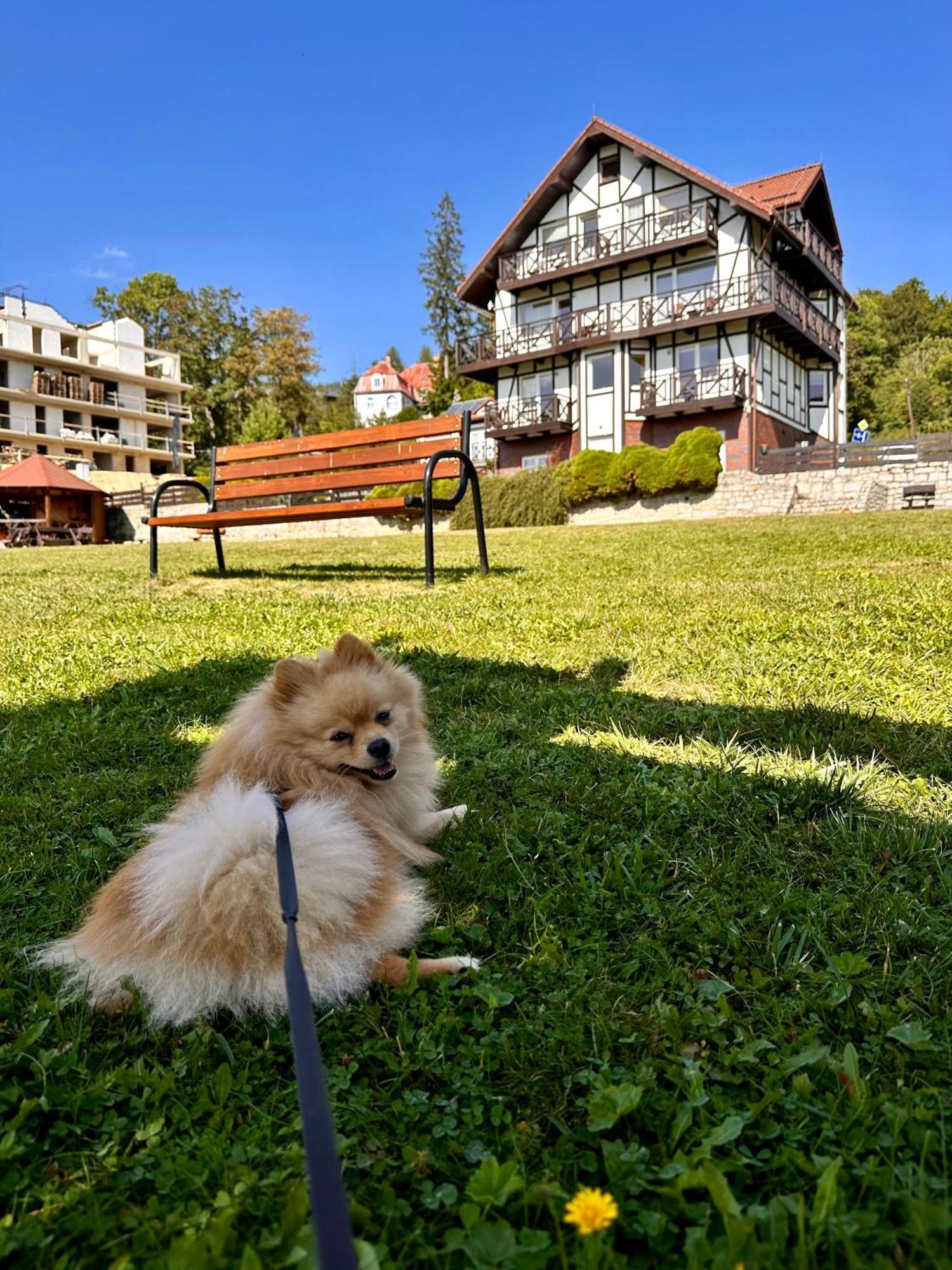 Apartamento U Józka Szklarska Poręba Exterior foto